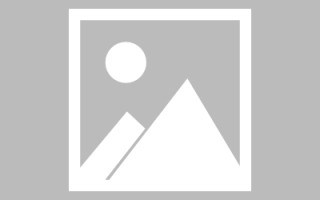 东明网页设计师周记（网页设计周记26篇300字）