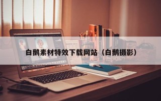 东明白鹅素材特效下载网站（白鹅摄影）